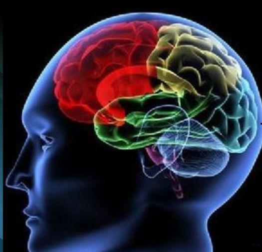 吃瓜老年头像,揭秘吃瓜老年头像背后的趣味人生