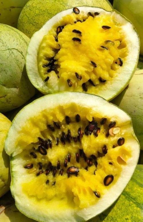 打籽瓜怎么吃,解锁美味新体验