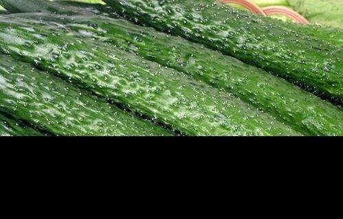 吃三百瓜有什么好处,揭秘吃瓜的五大神奇益处