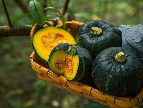 水果板栗瓜怎么吃,探索板栗瓜的烹饪与食用方法