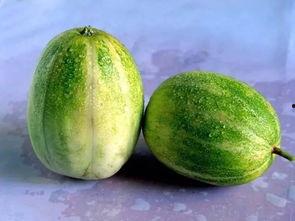 上海常吃的瓜,上海人钟爱的夏日消暑瓜类大盘点