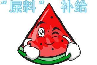 吃瓜现场幽默文案,笑料百出，欢乐无限