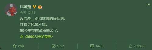 男生线上答辩吃瓜,男生吃瓜成焦点！