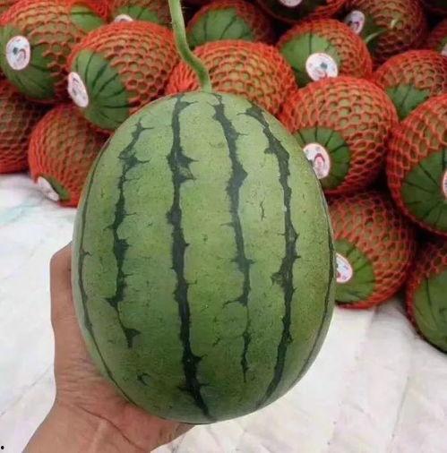 带那吃瓜,揭秘娱乐圈背后的那些事儿