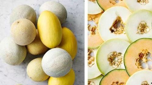 吃瓜百科链接,带你走进瓜界知识宝库