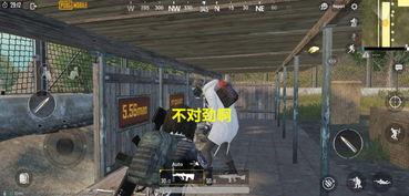 前线吃瓜vip选手,揭秘吃瓜选手的独家秘籍