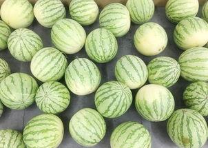 吃瓜真假,真假难辨的娱乐圈八卦风云