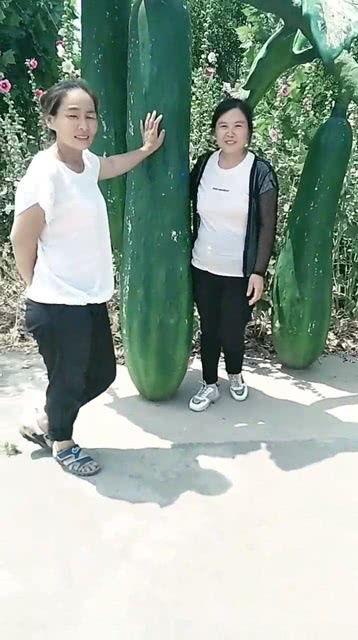 吃瓜后的感慨,一瓜解千愁，笑谈人间百态