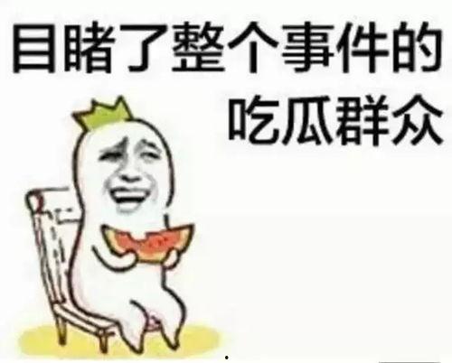 简短的吃瓜群众,吃瓜群众视角下的娱乐圈风云