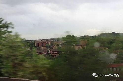 米兰城上吃瓜,瓜田里的欢乐时光