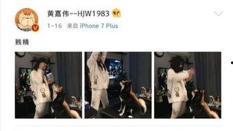 gnz48吃瓜,揭秘娱乐圈背后的真相