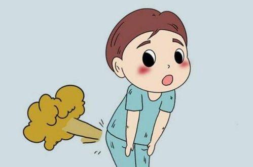 吃凉瓜老是放屁,揭秘夏日消暑美食背后的消化秘密