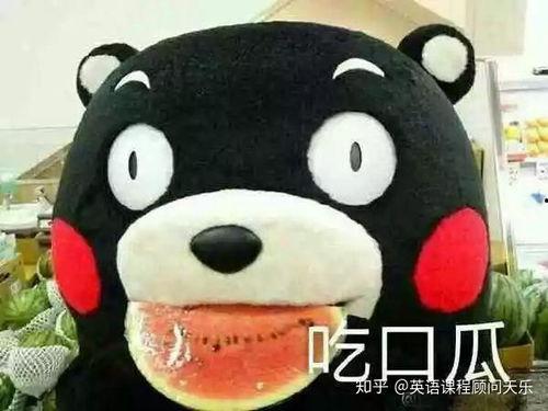 吃瓜积极怎么形容,揭秘娱乐圈风云变幻