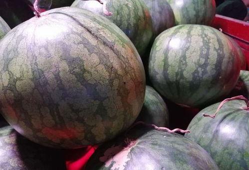 吃瓜照怎么拍氛围,瓜田里的欢乐时光