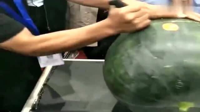 海南女老板吃瓜,一场意外的美食探险