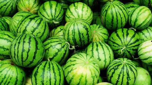 吃瓜人群分类,揭秘不同类型瓜友的趣味与心理