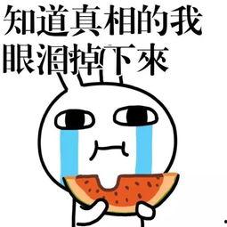 热门话题吃瓜,吃瓜群众揭秘热门话题背后的真相