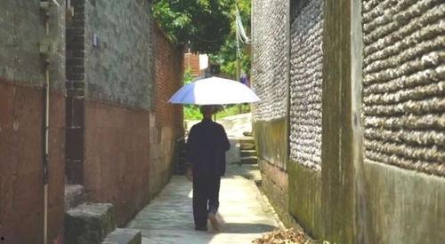 涵江吃瓜故事,揭秘民间趣闻背后的真实人生