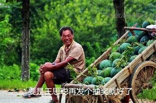 吃瓜吃死,竟致悲剧发生！揭秘“吃瓜吃死”背后的惊人真相