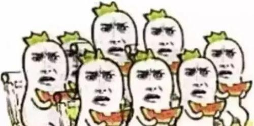 吃瓜群众邯郸魏县,吃瓜群众眼中的魅力乡村