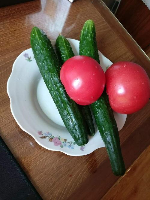 瓜蛋晒太阳吃柿子,柿子相伴，共享悠闲时光