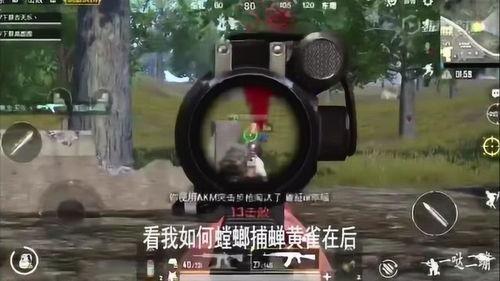 呆瓜吃鸡漫画,爆笑日常，欢乐无限