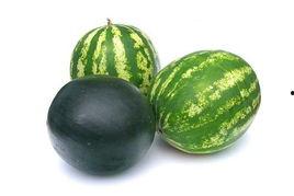 会理吃瓜事件进展,最新进展与舆情动态解析