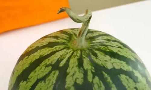 怎么打开吃瓜网,轻松打开吃瓜网，尽享娱乐资讯盛宴！