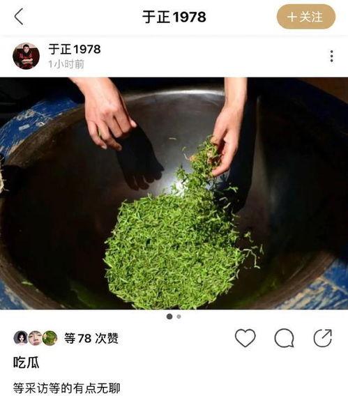 吃瓜配字,品味生活，畅谈人间百态