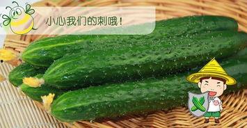 吃瓜配字,品味生活，畅谈人间百态