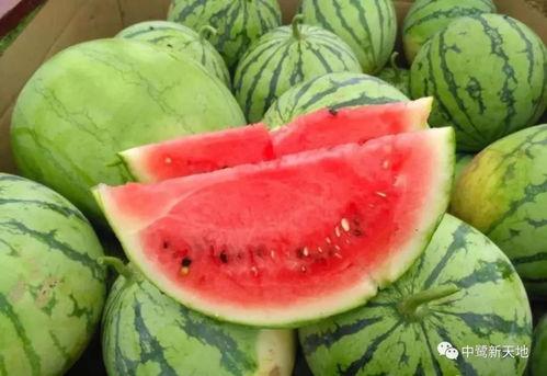 小红书今天吃瓜事件,揭秘幕后真相