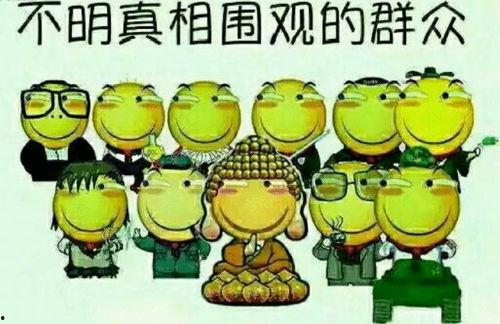 当官吃瓜的后续