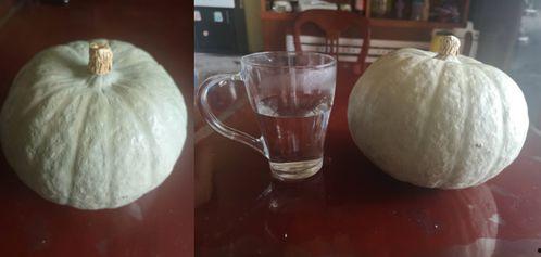 架子吃瓜神器,揭秘“架子吃瓜神器”的神奇魅力