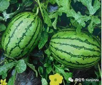 六八八吃瓜,揭秘娱乐圈背后的那些事儿