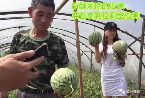 吃瓜直播保真瓜,吃瓜直播，带你直击真瓜现场