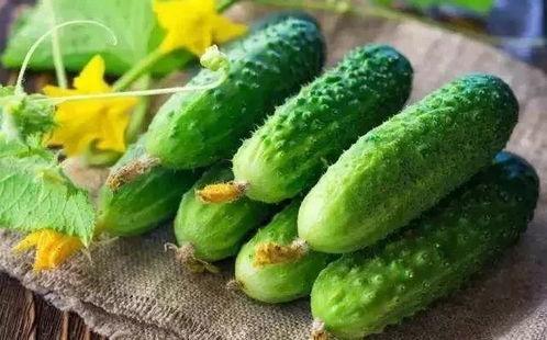 带你吃瓜养动物,带你走进“吃瓜养动物”的奇妙世界