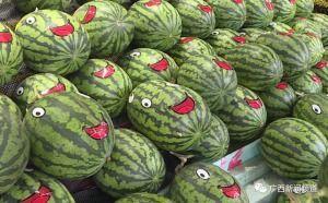 听声吃瓜,揭秘网络听声吃瓜的趣味世界