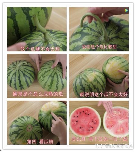 听声吃瓜,揭秘网络听声吃瓜的趣味世界