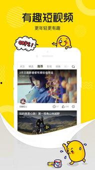 吃瓜小熊导师视频下载