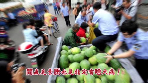 吃瓜现场的感受,瓜田奇观，揭秘吃瓜群众的欢乐盛宴