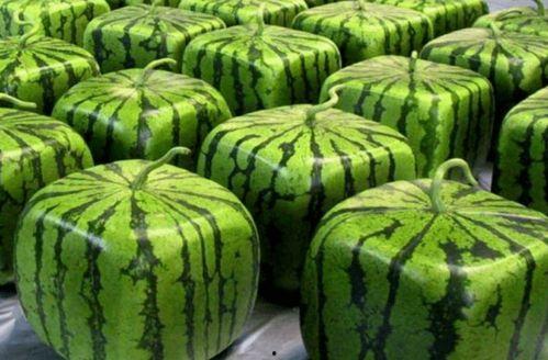 全网吃瓜吃瓜中心,揭秘娱乐圈幕后真相，带你领略明星们的真实生活！