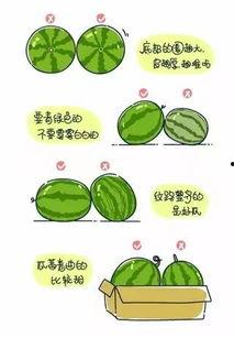 正确吃瓜指南,轻松解锁健康美味新姿势