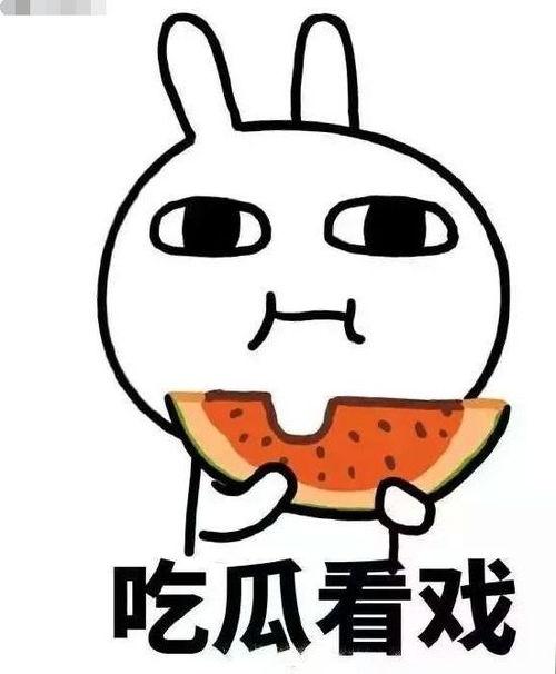 排排吃瓜小说,排排吃瓜小说背后的惊悚真相