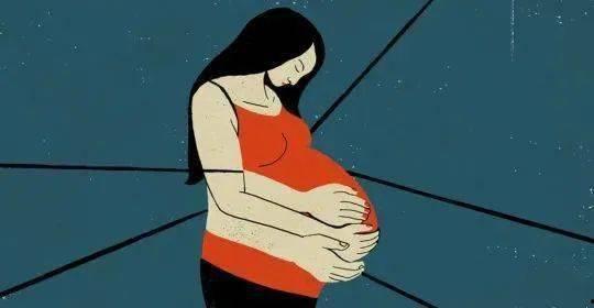 吃瓜之余,吃瓜群众视角下的娱乐圈风云录