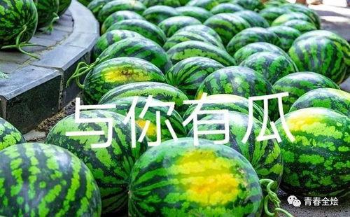 广东高校吃瓜事件,揭秘校园网络舆论风波