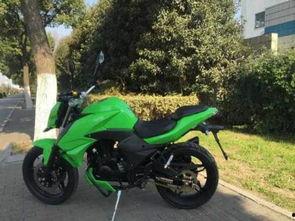 惠州机车吃瓜,一场吃瓜群众的狂欢盛宴