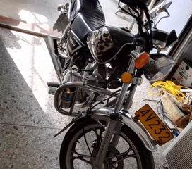 惠州机车吃瓜,一场吃瓜群众的狂欢盛宴