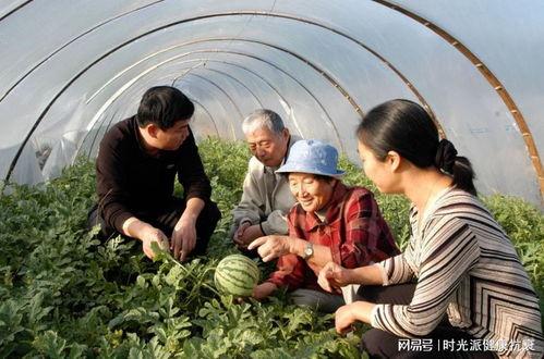 林清平吃瓜资源