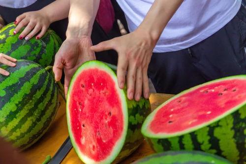 学校的吃瓜,揭秘校园里的那些“瓜”