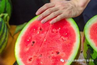 学校的吃瓜,揭秘校园里的那些“瓜”